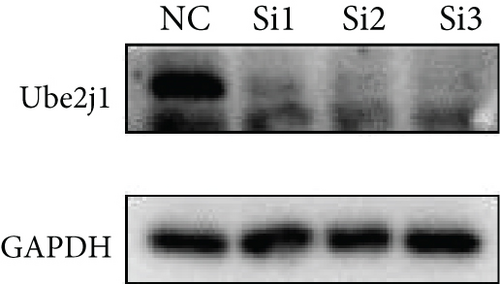 Details are in the caption following the image