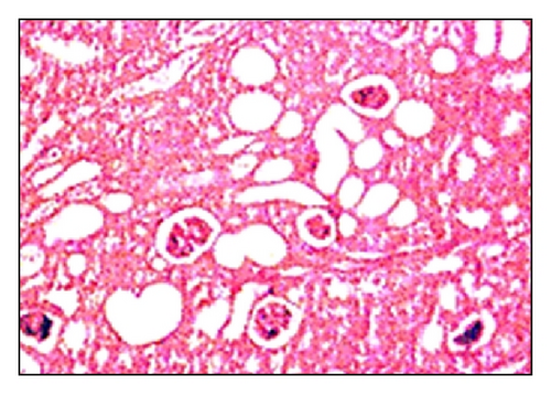 Details are in the caption following the image
