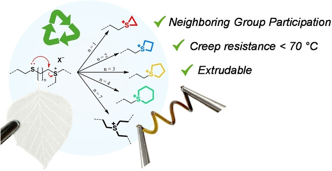 Tailoring the Reprocessability of Thiol-Ene Networks through Ring Size Effects