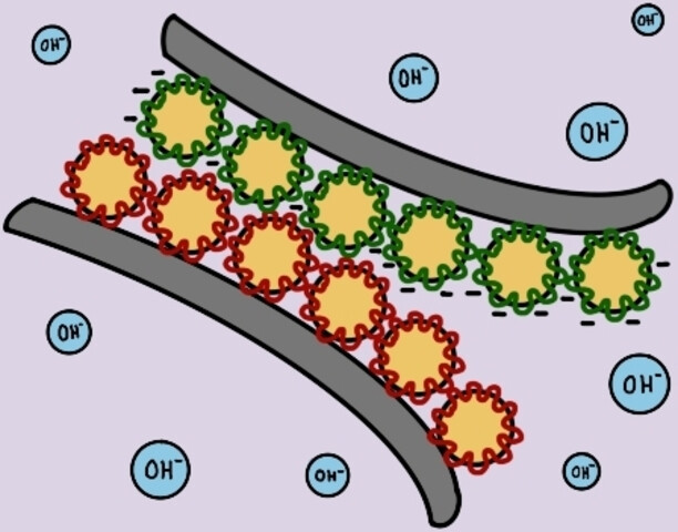 A reversible water-based electrostatic adhesive