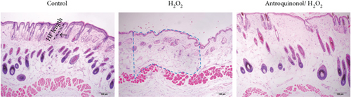 Details are in the caption following the image Details are in the caption following the image