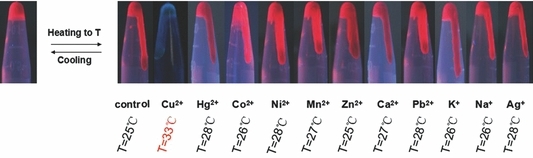 Cu2+ Ion Responsive Solvent-Free Quantum Dots
