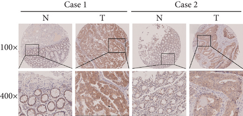 Details are in the caption following the image Details are in the caption following the image