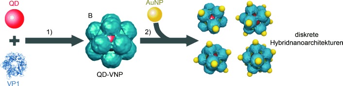 Tunable, Discrete, Three-Dimensional Hybrid Nanoarchitectures