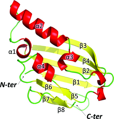 Structure and metal-binding properties of PA4063, a novel player in periplasmic zinc trafficking by Pseudomonas aeruginosa
