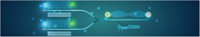 Optical Vernier Effect: Recent Advances and Developments