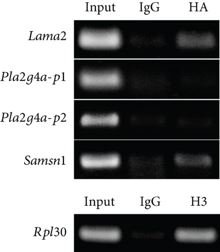 Details are in the caption following the image