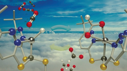 Efficient CO2 Insertion and Reduction Catalyzed by a Terminal Zinc Hydride Complex