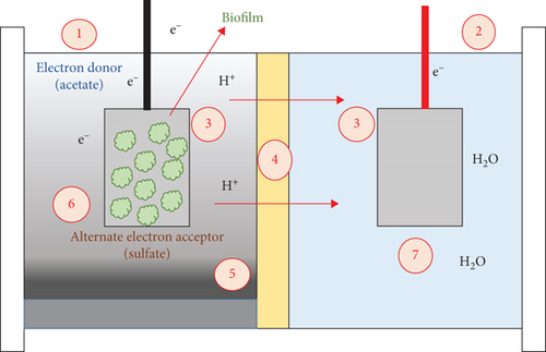 Details are in the caption following the image