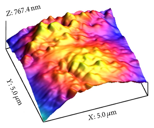 Details are in the caption following the image