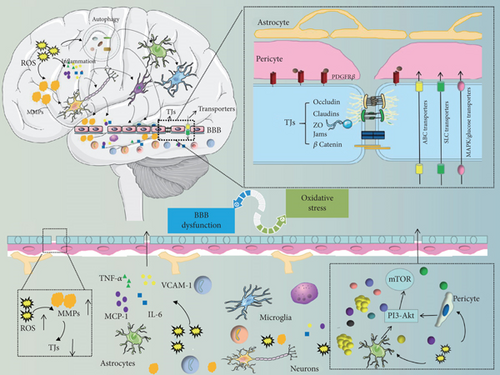 Details are in the caption following the image Details are in the caption following the image