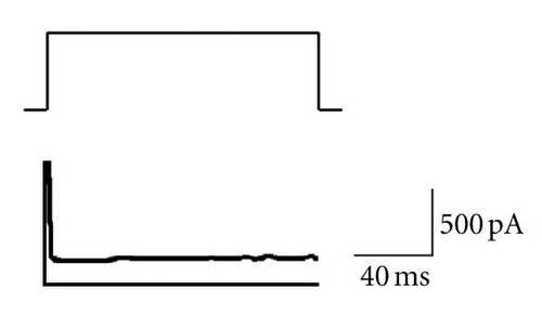 Details are in the caption following the image