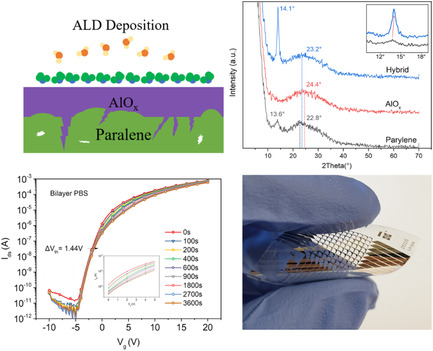 Hybrid Passivation for Foldable Indium Gallium Zinc Oxide Thin-Film Transistors Mediated by Low-Temperature and Low-Damage Parylene-C/Atomic Layer Deposition-AlOx Coating