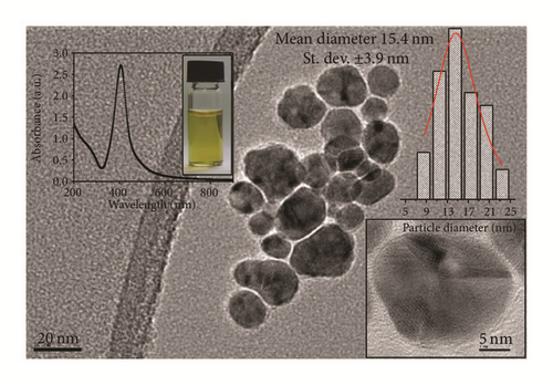 Details are in the caption following the image Details are in the caption following the image