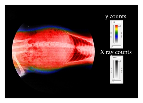 Details are in the caption following the image Details are in the caption following the image