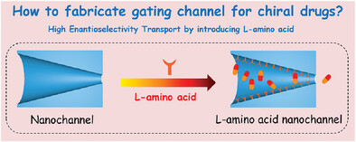 Chiral Transport in Nanochannel Based Artificial Drug Transporters