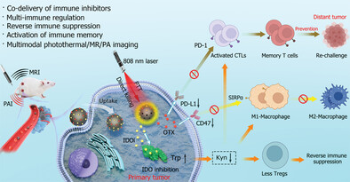 Precision Delivery of Dual Immune Inhibitors Loaded Nanomodulator to Reverse Immune Suppression for Combinational Photothermal-Immunotherapy