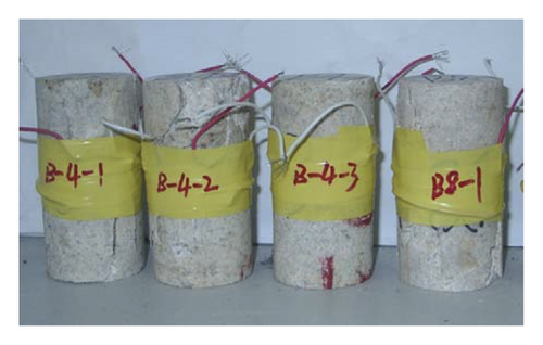 Details are in the caption following the image Details are in the caption following the image