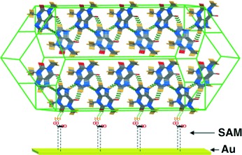 Selective Crystal Growth of the Anhydrous and Monohydrate Forms of Theophylline on Self-Assembled Monolayers