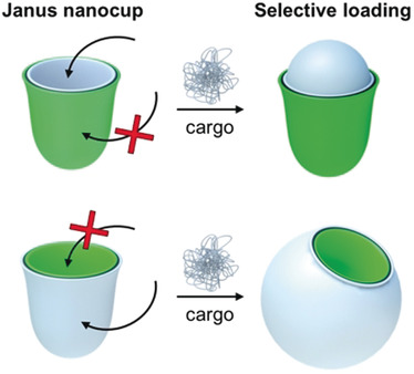 Template-Free Synthesis and Selective Filling of Janus Nanocups