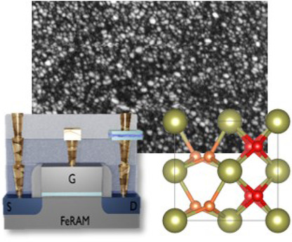 Review on the Microstructure of Ferroelectric Hafnium Oxides