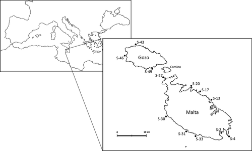 Details are in the caption following the image Details are in the caption following the image