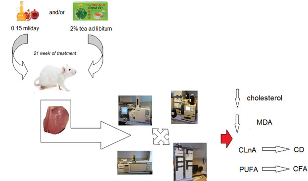 Punica granatum (Pomegranate) Seed Oil and Momordica charantia (Bitter Melon) Extract Affect the Lipid's Profile and Oxidative Stability of Femoral Muscles of Rats