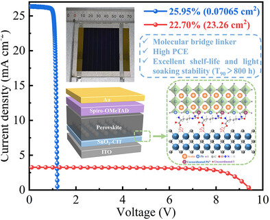Employment of l-Citrulline as an Effective Molecular Bridge for Regulating the Buried Interface of Perovskite Solar Cells to Achieve High Efficiency and Good Stability
