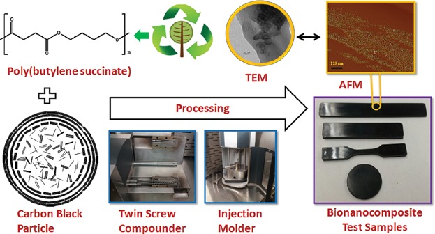 Melt Processing and Characterization of Bionanocomposites Made from Poly(butylene succinate) Bioplastic and Carbon Black