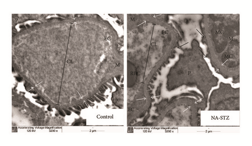 Details are in the caption following the image