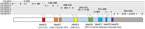 Details are in the caption following the image Details are in the caption following the image