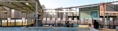 Details are in the caption following the image Details are in the caption following the image
