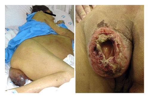 Details are in the caption following the image Details are in the caption following the image