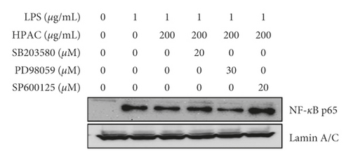 Details are in the caption following the image