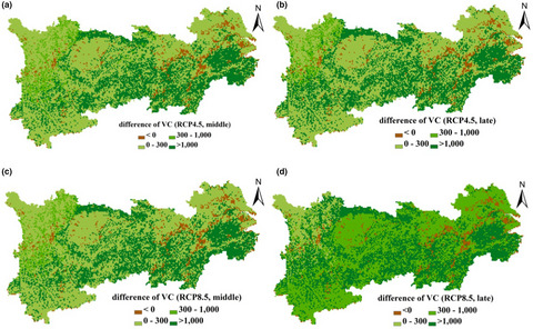Climate-induced increase in terrestrial carbon storage in the Yangtze River Economic Belt