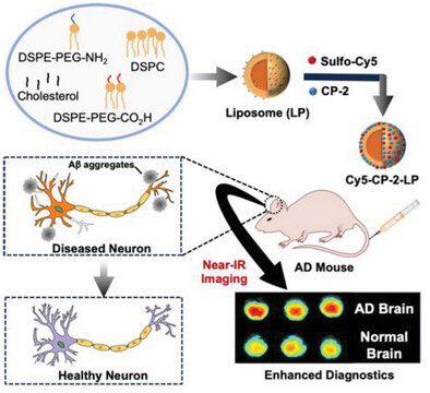 Multifunctional Liposomes Targeting Amyloid-β Oligomers for Early Diagnosis and Therapy of Alzheimer's Disease