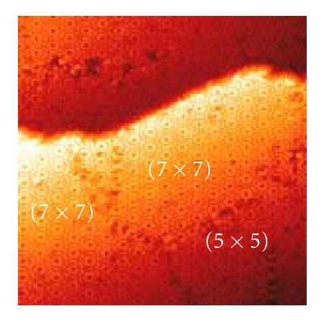 Details are in the caption following the image Details are in the caption following the image