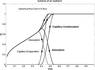 Thermodynamics and Modeling of Sorption Isotherms
