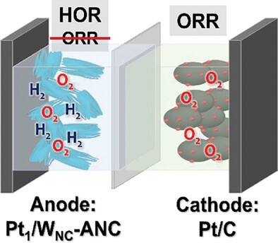 Selective Hydrogen Oxidation Catalyst for PEM Fuel Cells: Tungsten Cluster-Tuned Platinum Single Atoms