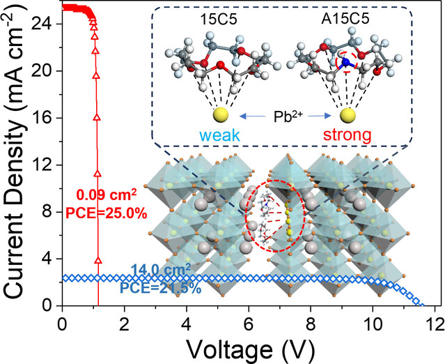 Tailored Supramolecular Interactions in Host–Guest Complexation for Efficient and Stable Perovskite Solar Cells and Modules
