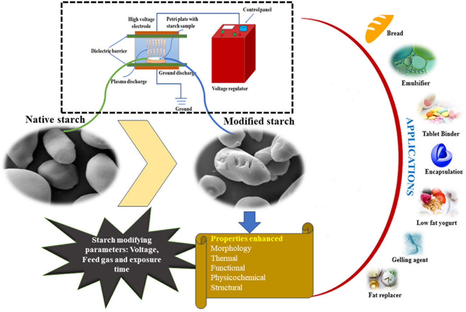 Effect of cold plasma treatment and plasma-activated water on physicochemical and structural properties of starch: A green and novel approach for environmental sustainability