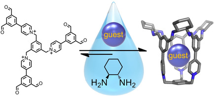 Molecular Cages Self-Assembled by Imine Condensation in Water