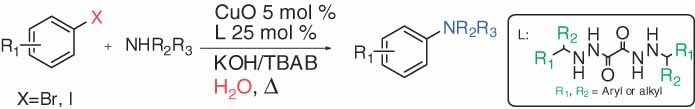 N2,N2′-disubstituted oxalic acid bishydrazides: novel ligands for copper-catalyzed C<span class='icomoon'></span>N coupling reactions in water