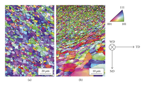Details are in the caption following the image Details are in the caption following the image
