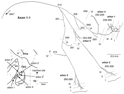 Details are in the caption following the image Details are in the caption following the image