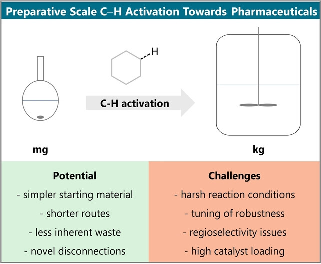 Preparative Scale Applications of C−H Activation in Medicinal Chemistry
