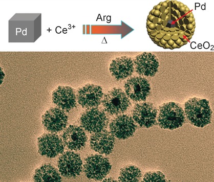 l-Arginine-Triggered Self-Assembly of CeO2 Nanosheaths on Palladium Nanoparticles in Water