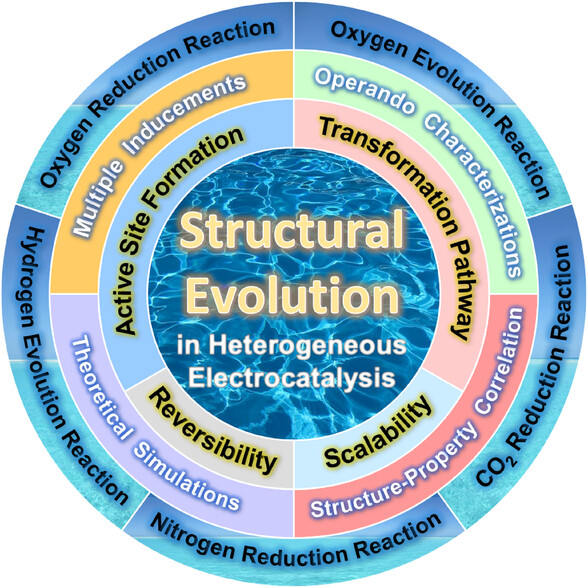 Insight into Structural Evolution, Active Sites, and Stability of Heterogeneous Electrocatalysts