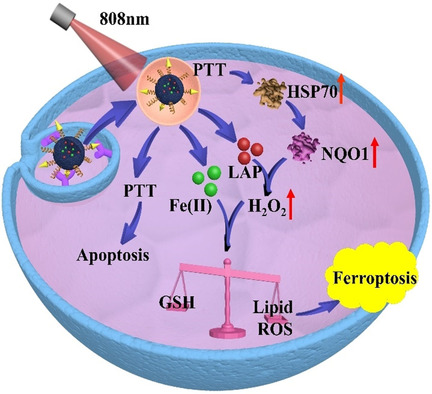 NIR-Actuated Remote Activation of Ferroptosis in Target Tumor Cells through a Photothermally Responsive Iron-Chelated Biopolymer Nanoplatform