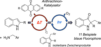 Tandem-Organokatalyse und -Photokatalyse: eine Anthrachinon- katalysierte sequenzielle Indol-C3-Alkylierung/Photooxidation/ 1,2-Umlagerung